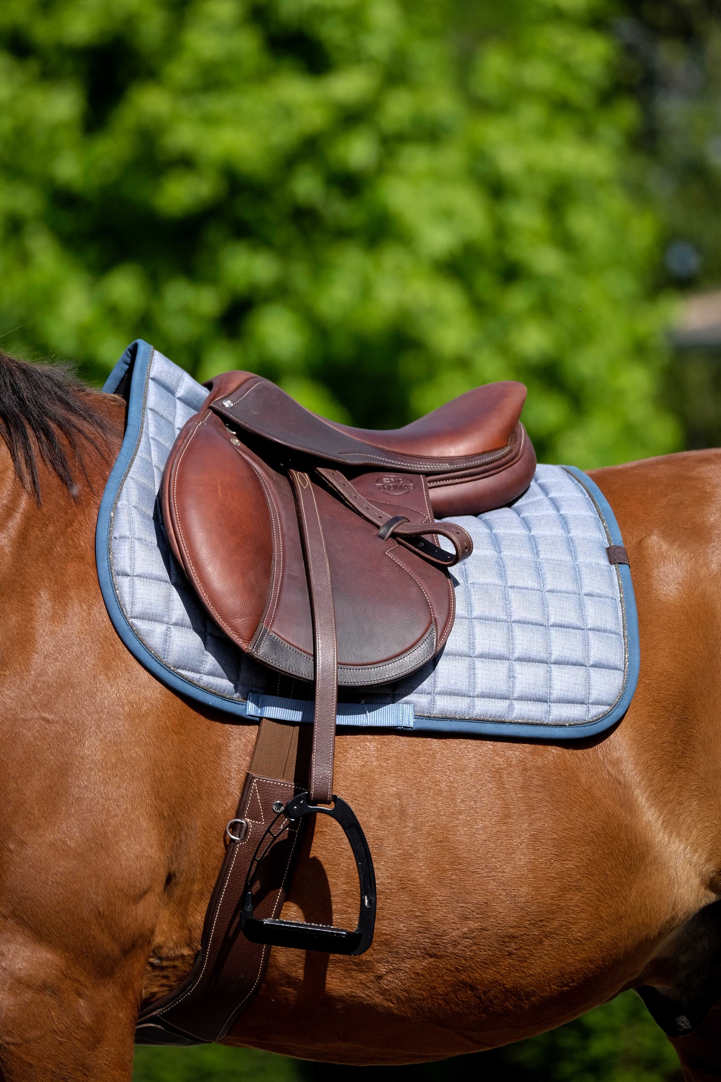 Tapis de selle EQUITHÈME - Chic