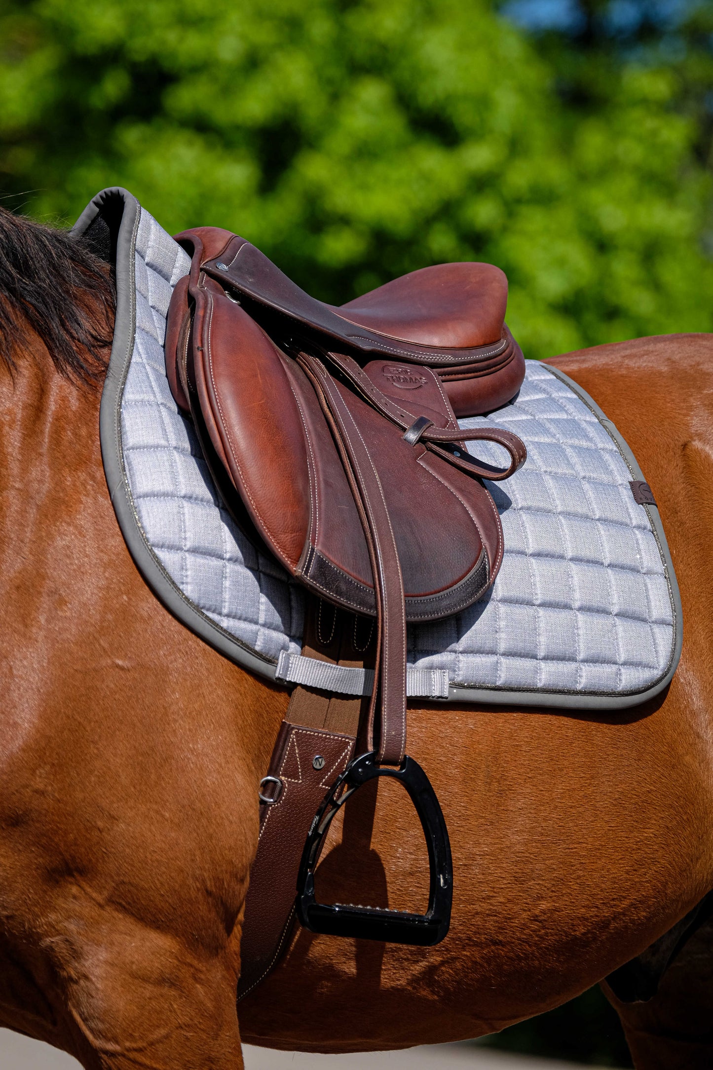 Tapis de selle EQUITHÈME - Chic