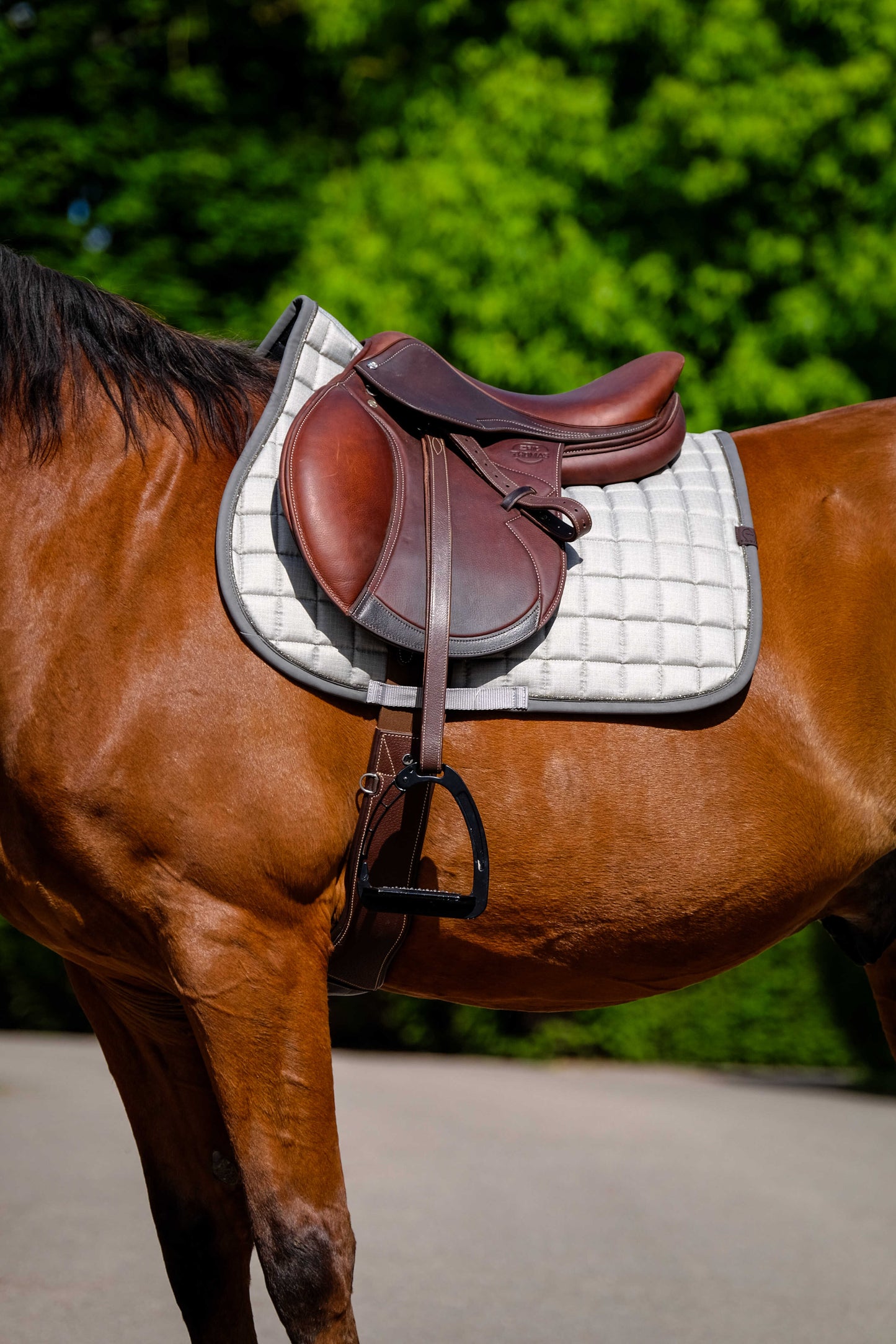 Tapis de selle EQUITHÈME - Chic
