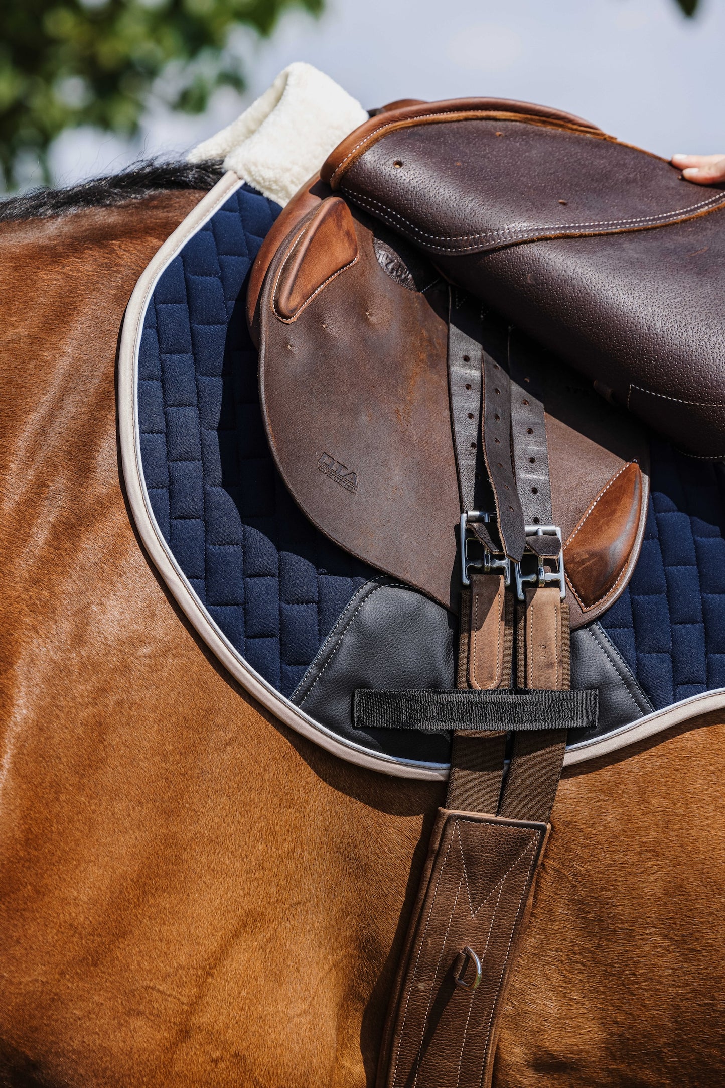 Tapis de selle EQUITHÈME - Dinard