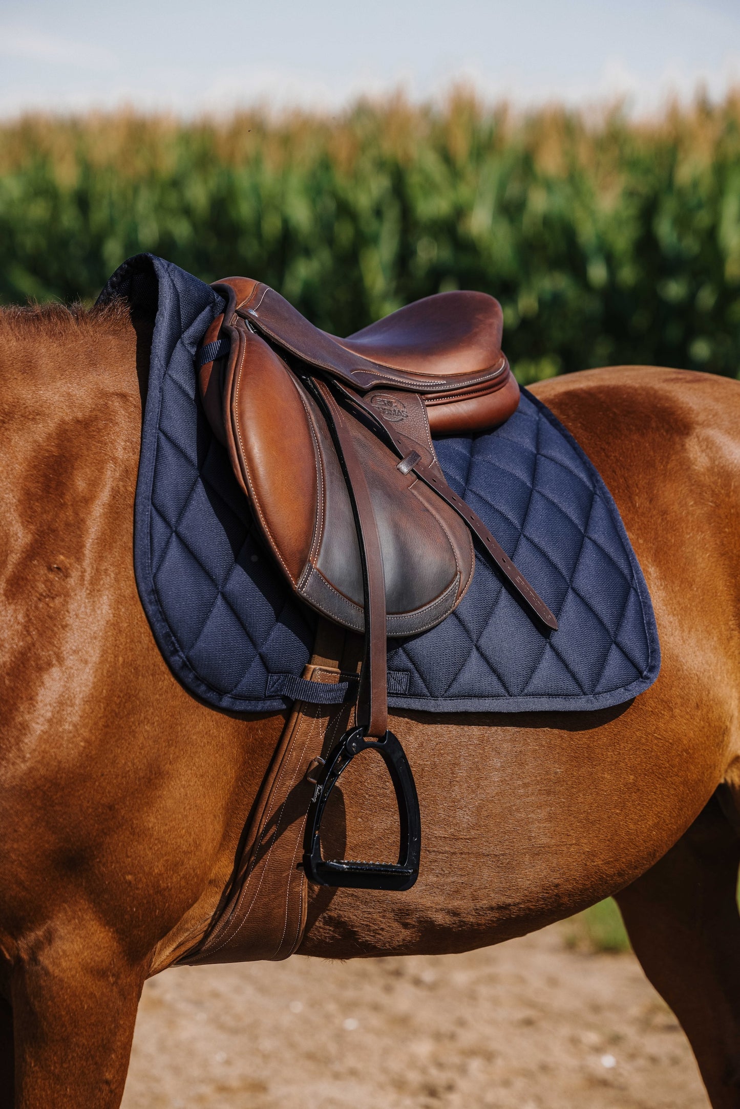 Tapis de selle RIDING WORLD - School