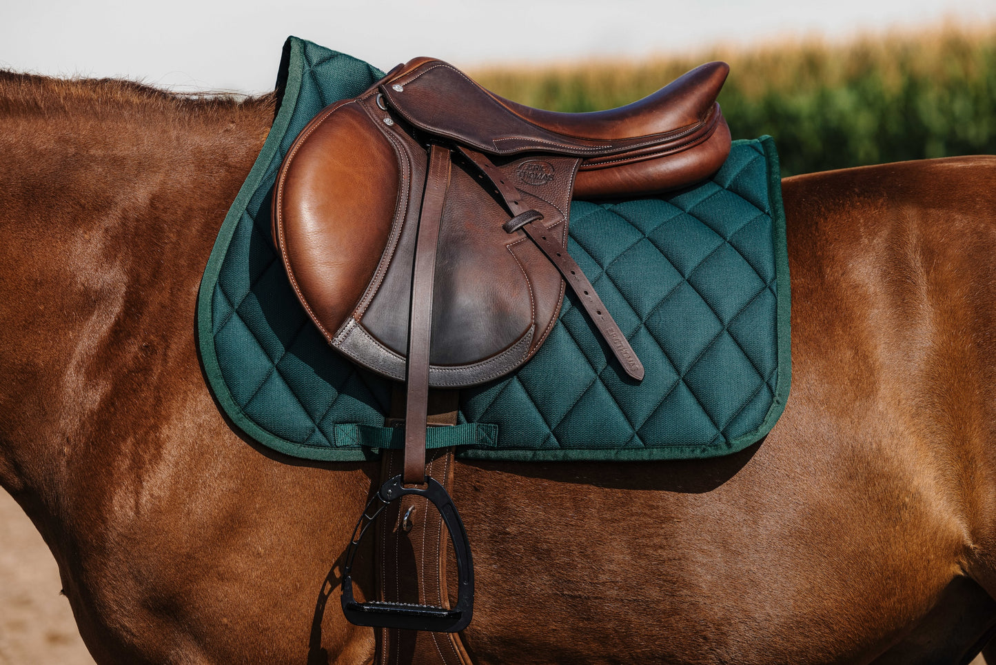 Tapis de selle RIDING WORLD - School