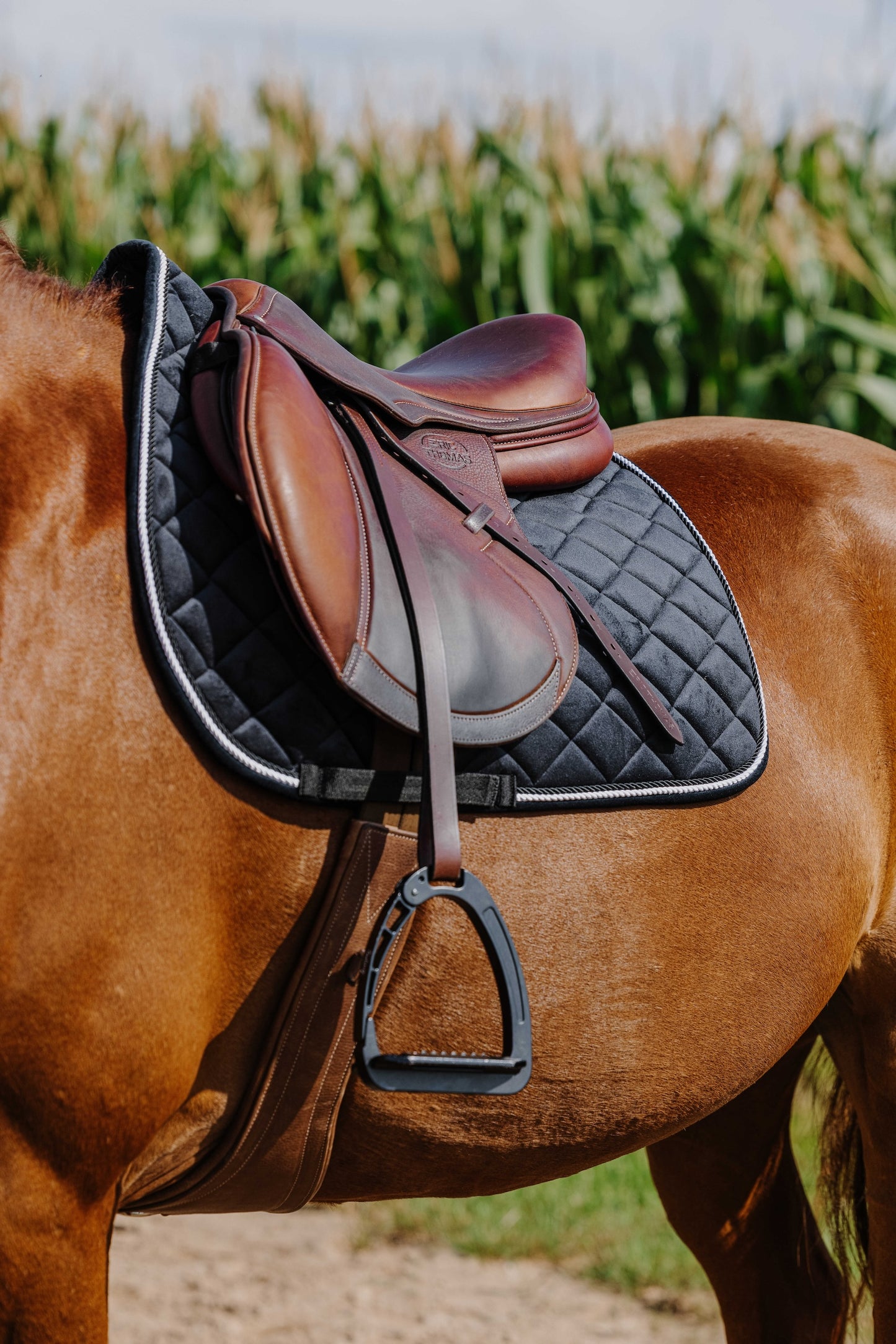 Tapis de selle RIDING WORLD - Velours