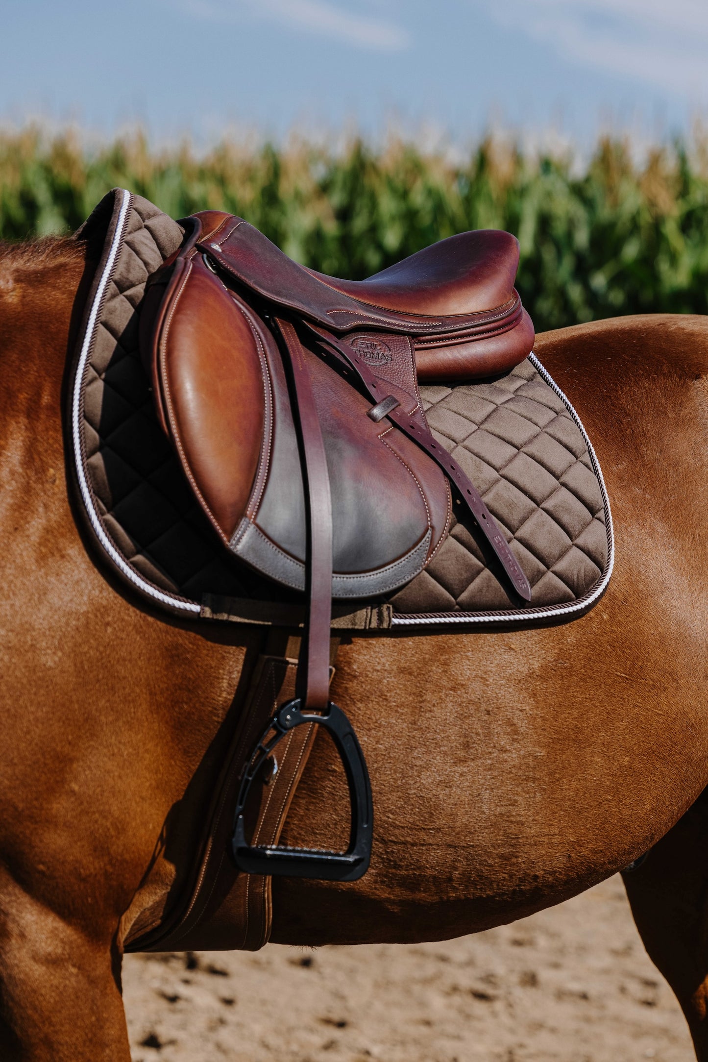 Tapis de selle RIDING WORLD - Velours