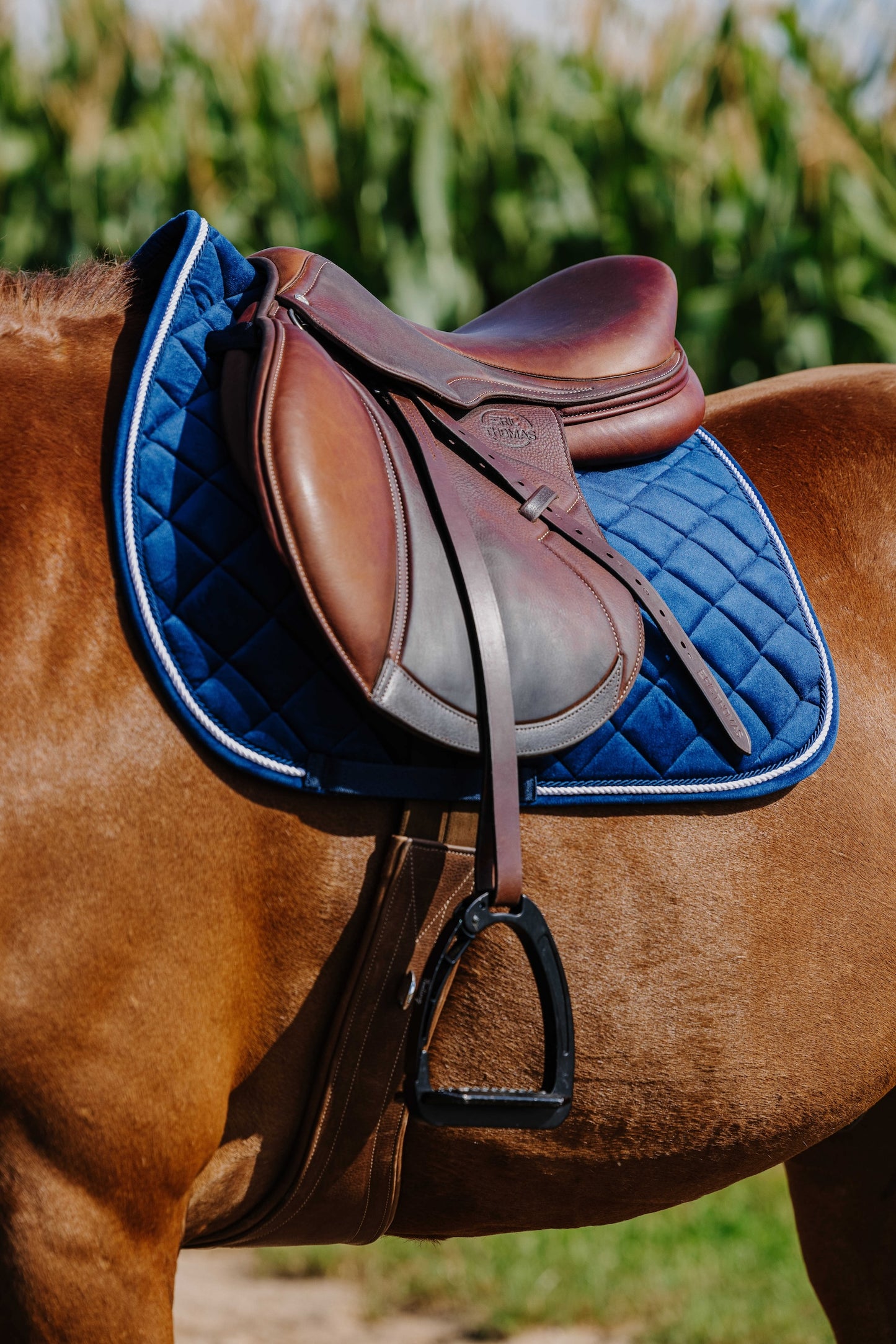 Tapis de selle RIDING WORLD - Velours