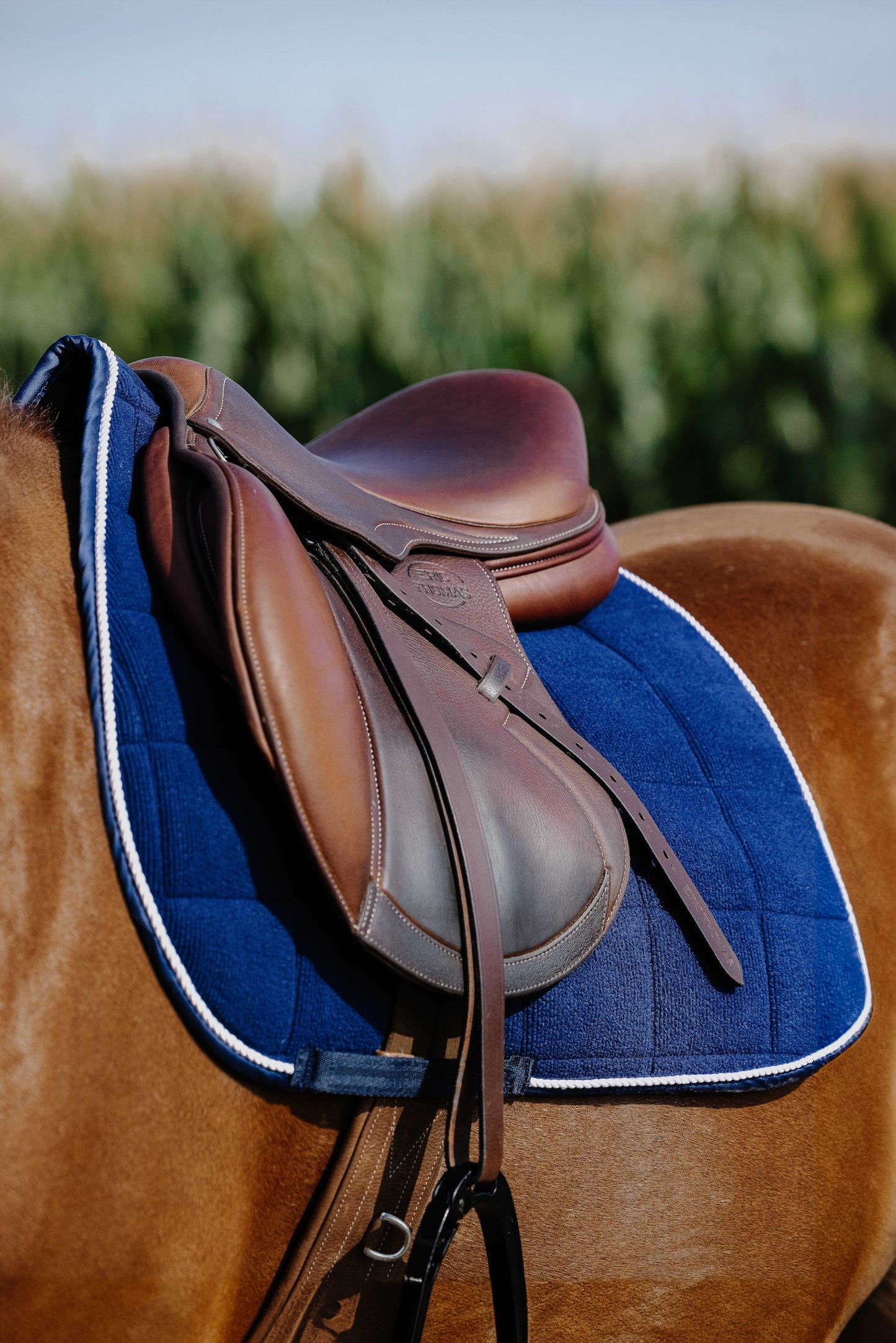 Tapis de selle RIDING WORLD - Corduroy