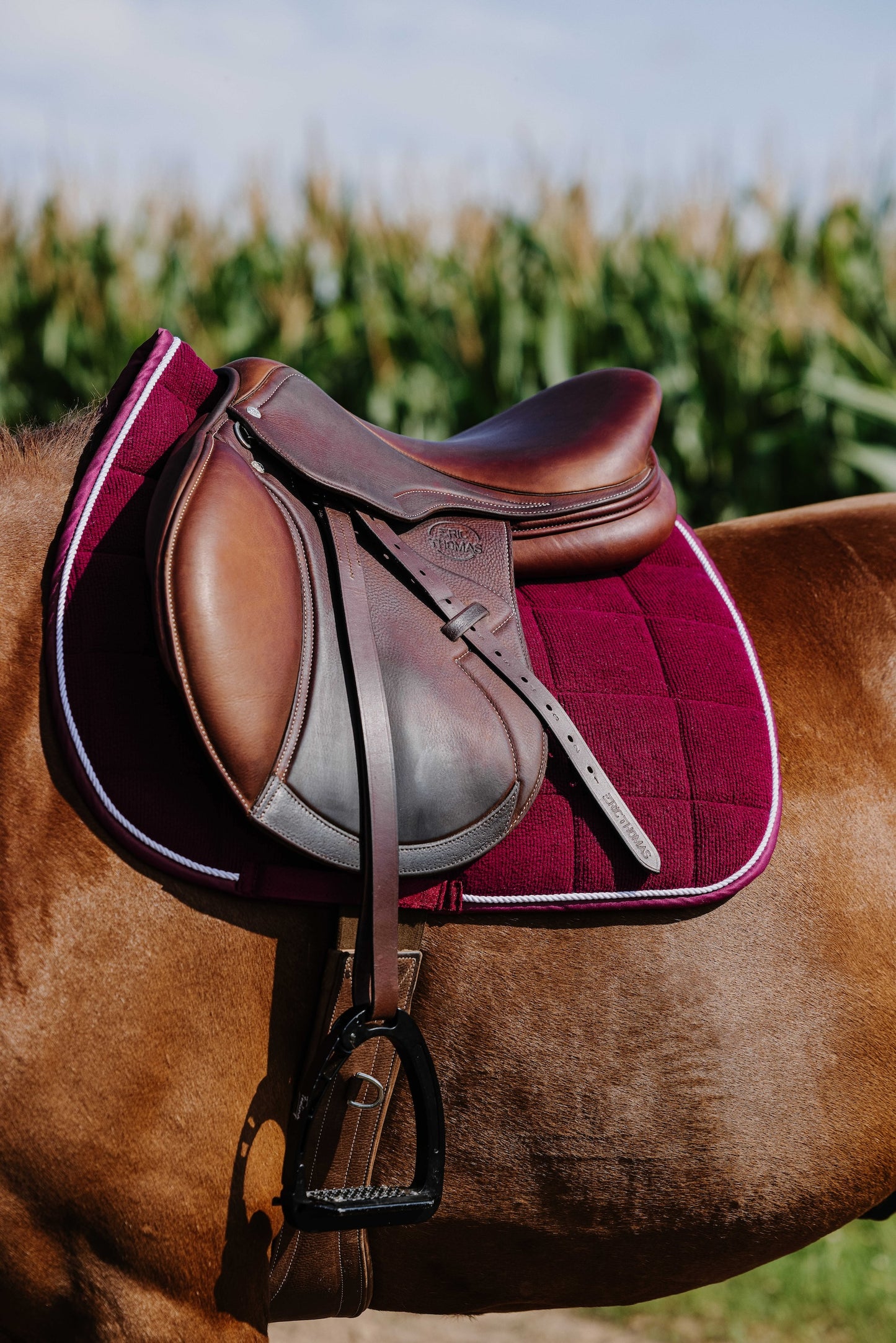 Tapis de selle RIDING WORLD - Corduroy
