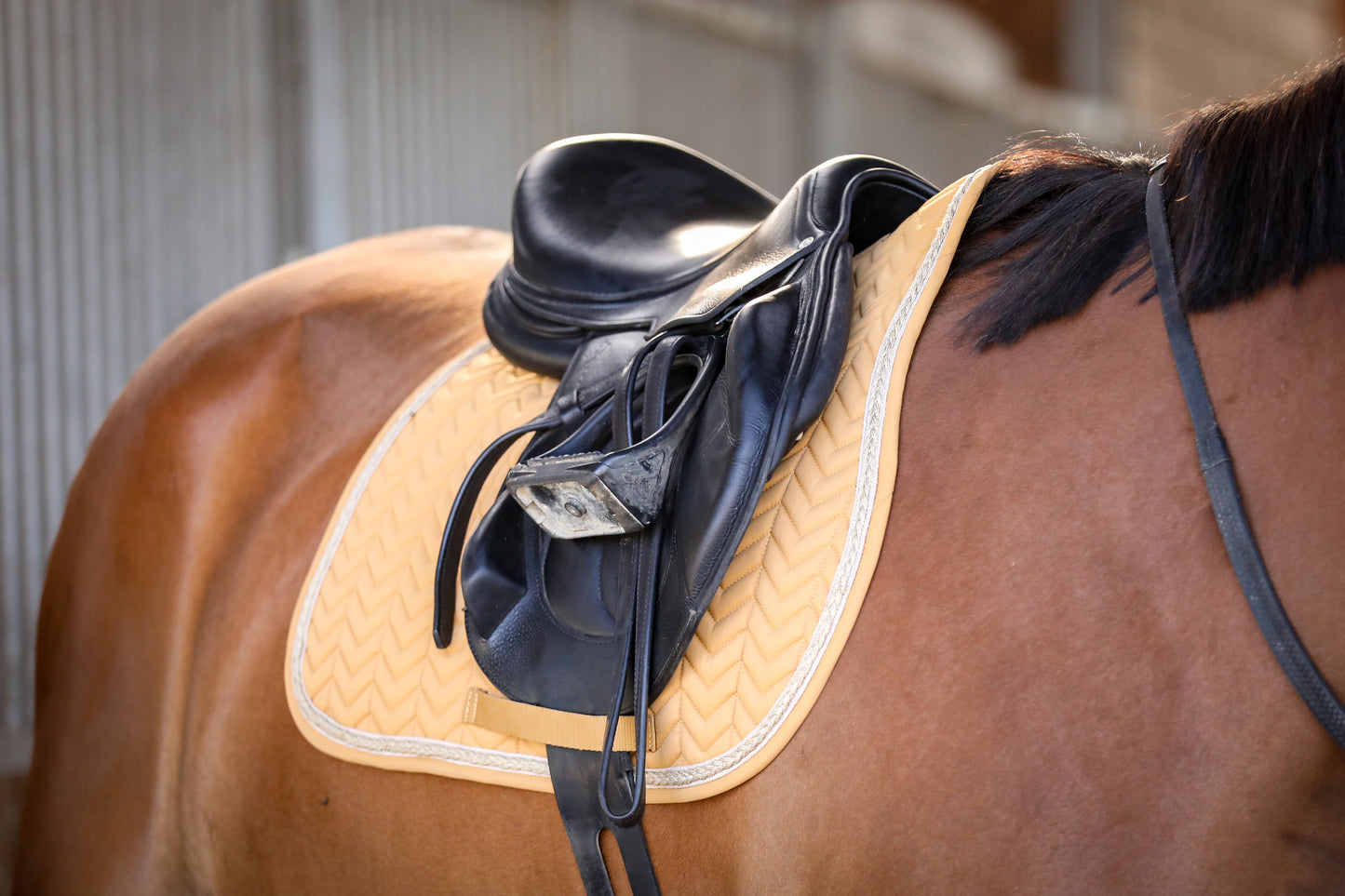 TAPIS DE SELLE EQUITHÈME "SOFTY"