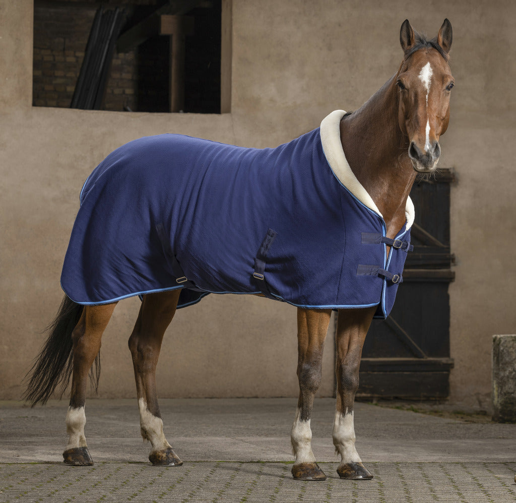 Chemise RIDING WORLD - Confort