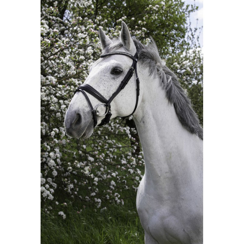 Bridon NORTON PRO - Strass