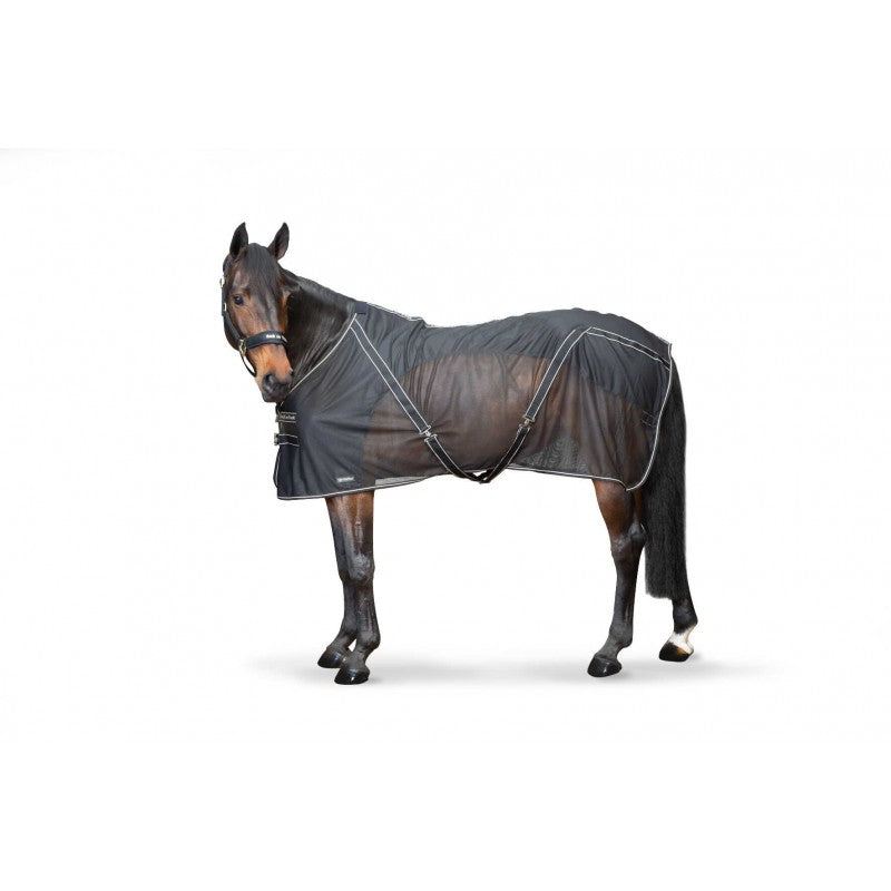 Chemise BACK ON TRACK - Sienna
