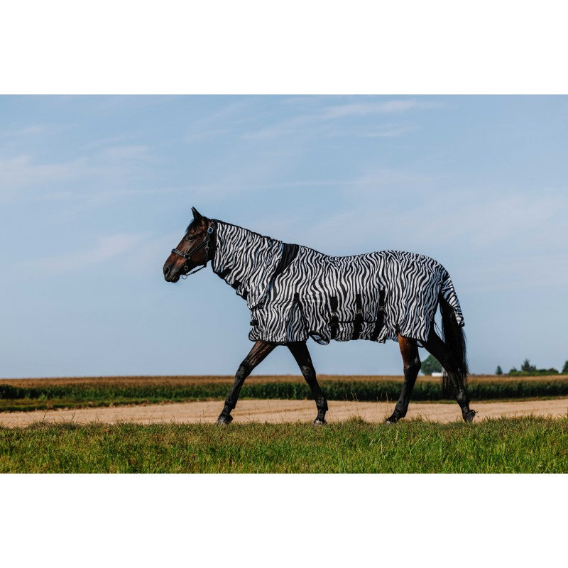 Chemise RIDING WORLD - Belly Mesh - Combo