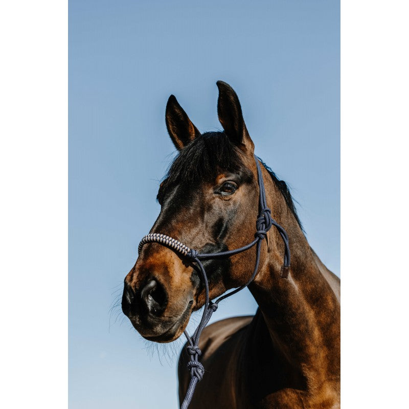 Licol éthologique + longe NORTON - Deco