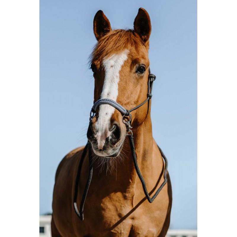 Licol éthologiques + rênes NORTON Fancy