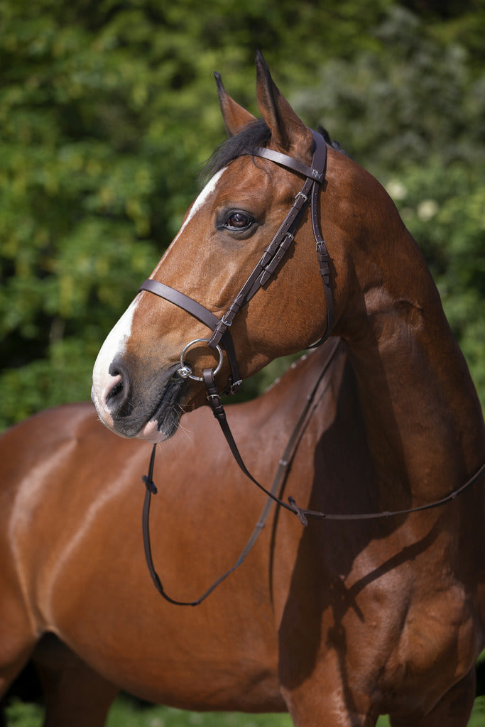 BRIDON RIDING WORLD "MUSEROLLE FRANÇAISE"