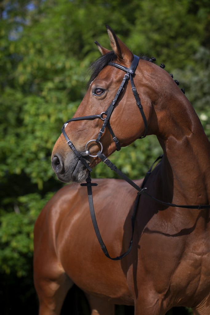 BRIDON RIDING WORLD "MUSEROLLE CROISÉE"