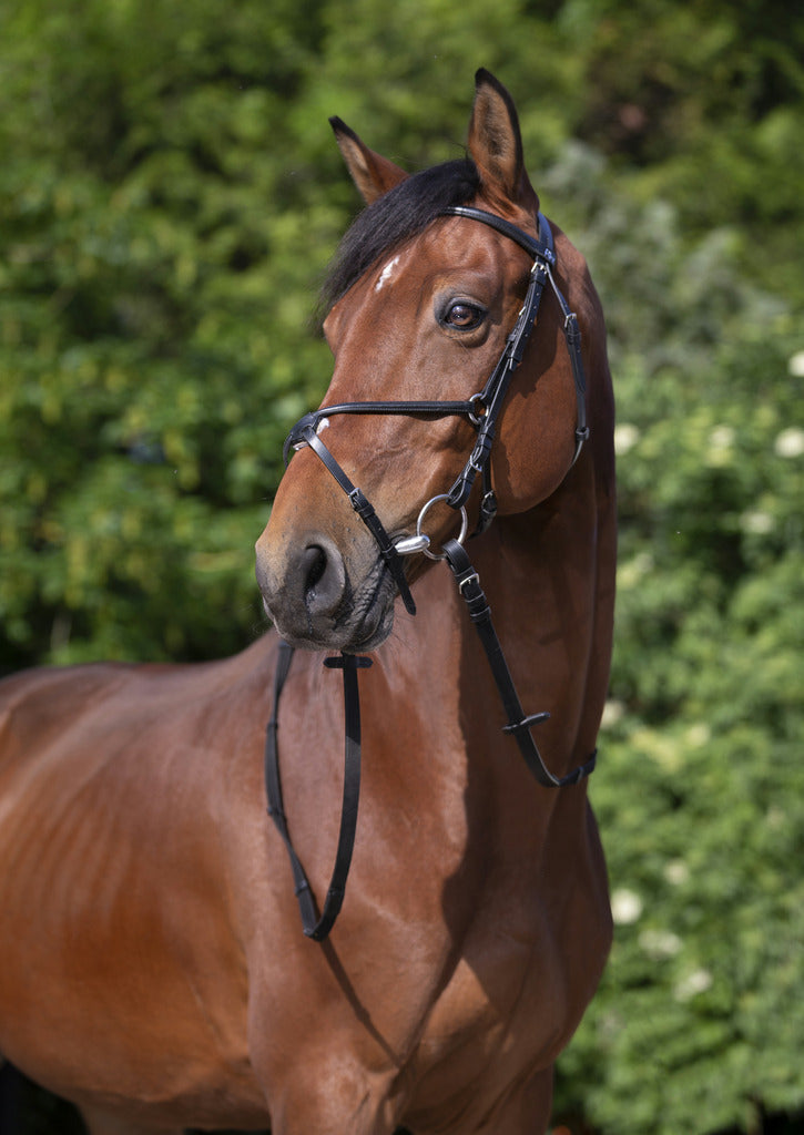 BRIDON RIDING WORLD "MUSEROLLE CROISÉE"
