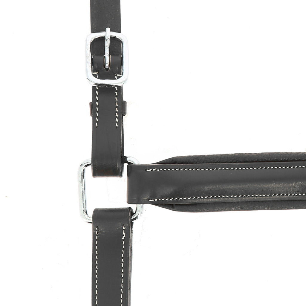 LICOL ANATOMIQUE NORTON PRO noir