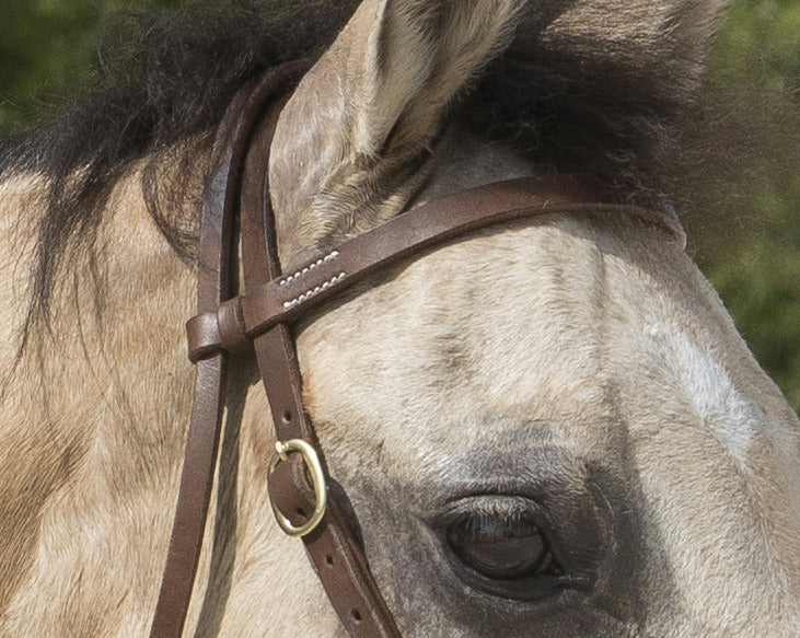 BRIDON WESTRIDE BY FRANCK PERRET "COLORADO"