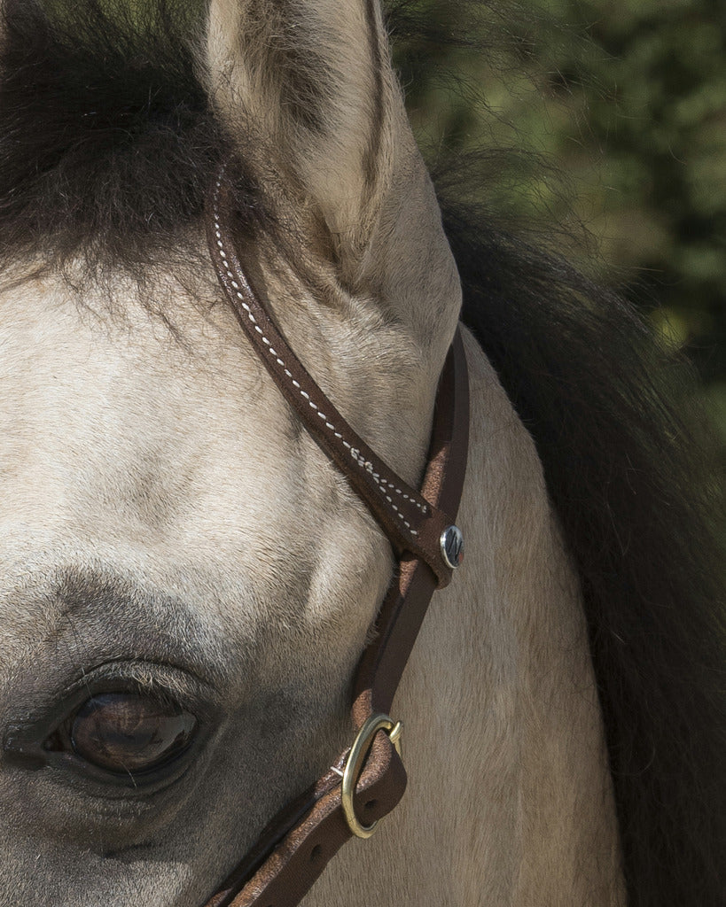 BRIDON WESTRIDE BY FRANCK PERRET "1 OREILLE"