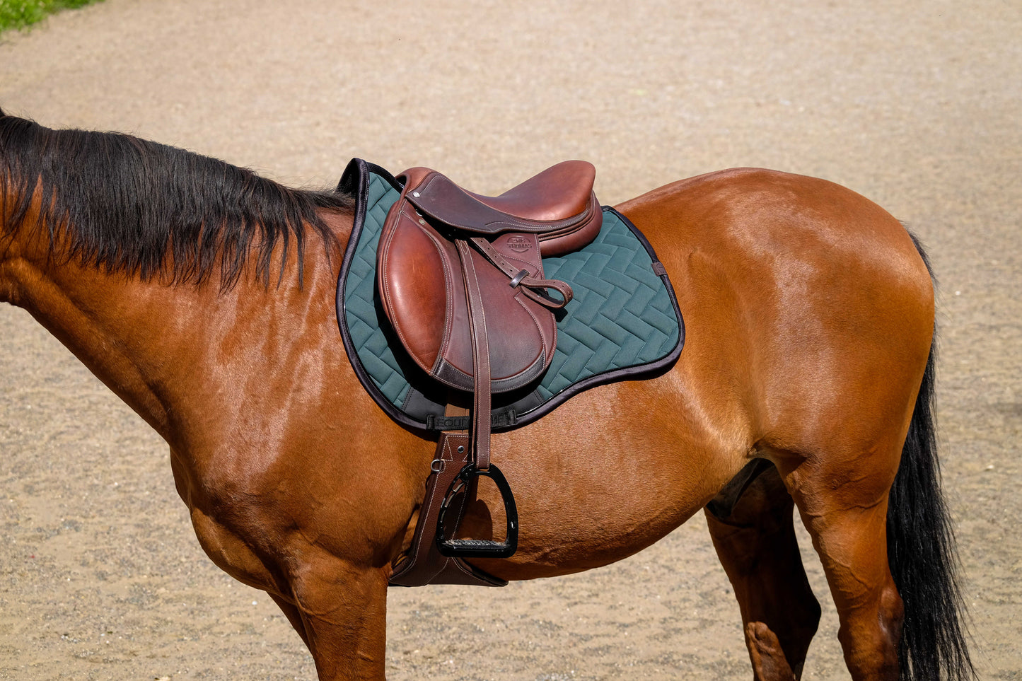 Tapis de selle EQUITHÈME - Impulsion