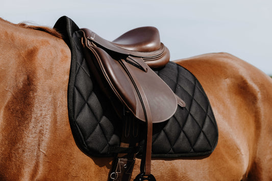 Tapis de selle RIDING WORLD - School