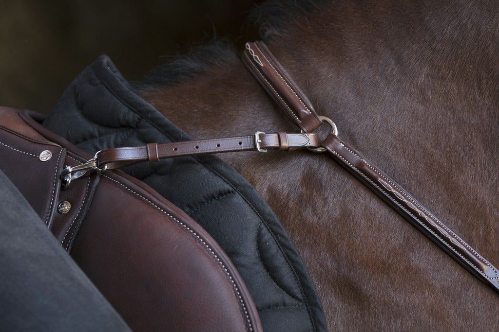 COLLIER DE CHASSE NORTON PRO