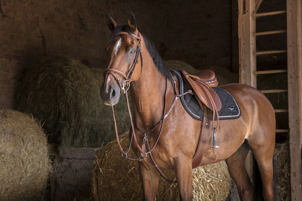 COLLIER DE CHASSE ERIC THOMAS HYBRID