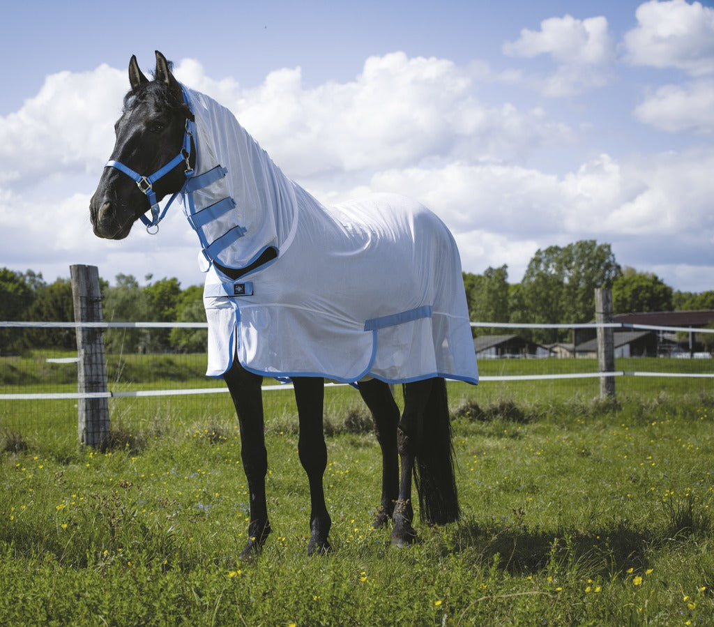 CHEMISE FILET RIDING WORLD "COMBO"