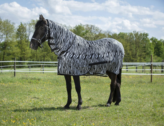 CHEMISE FILET RIDING WORLD "COMBO"