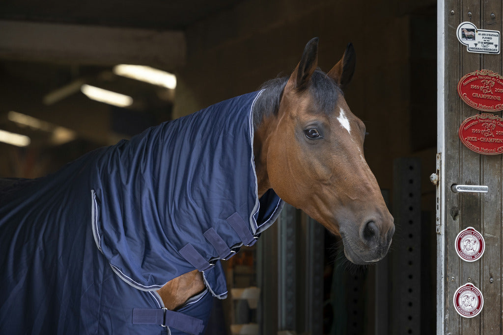 CHEMISE EQUITHÈME "MICROFLEECE" COMBO