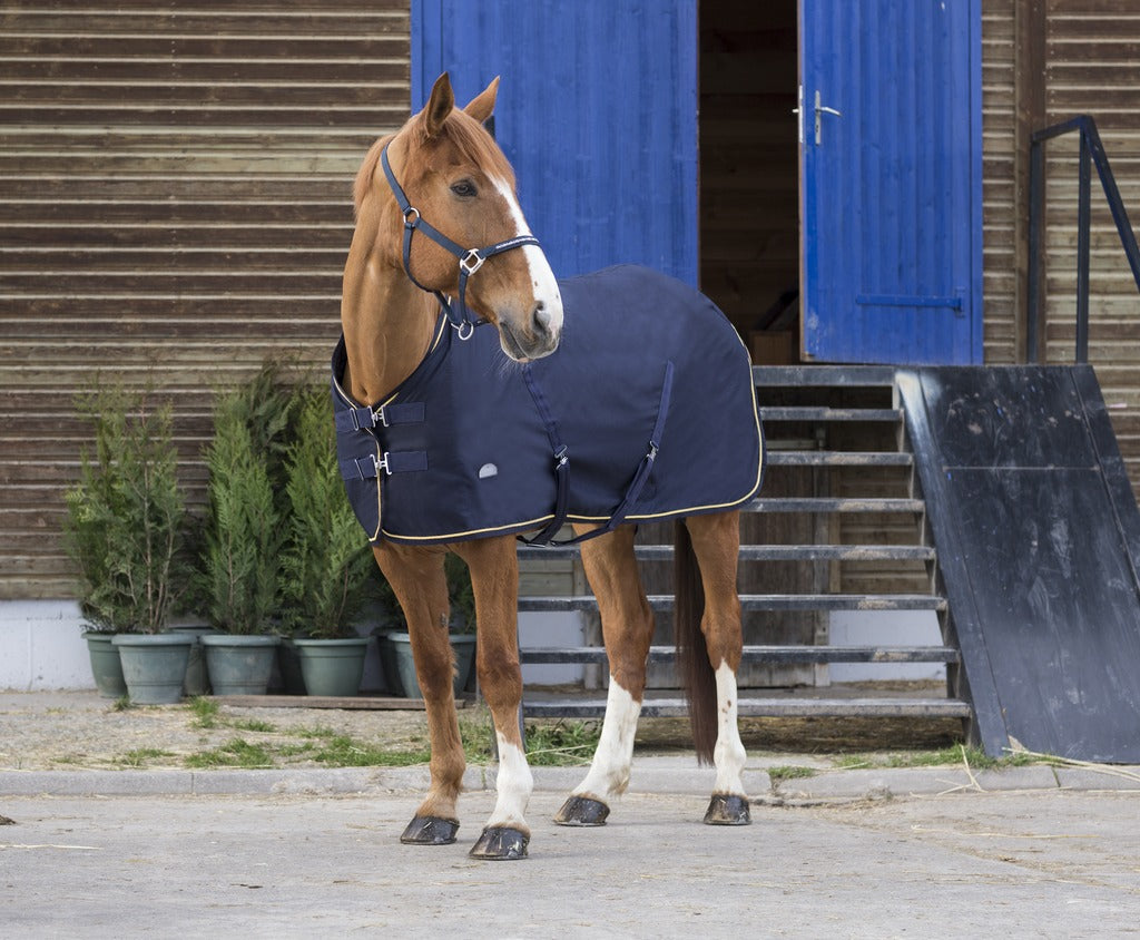 CHEMISE EQUITHÈME "CHIC"