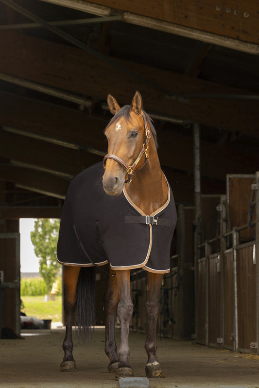 CHEMISE POLAIRE EQUITHÈME "POLYFUN"