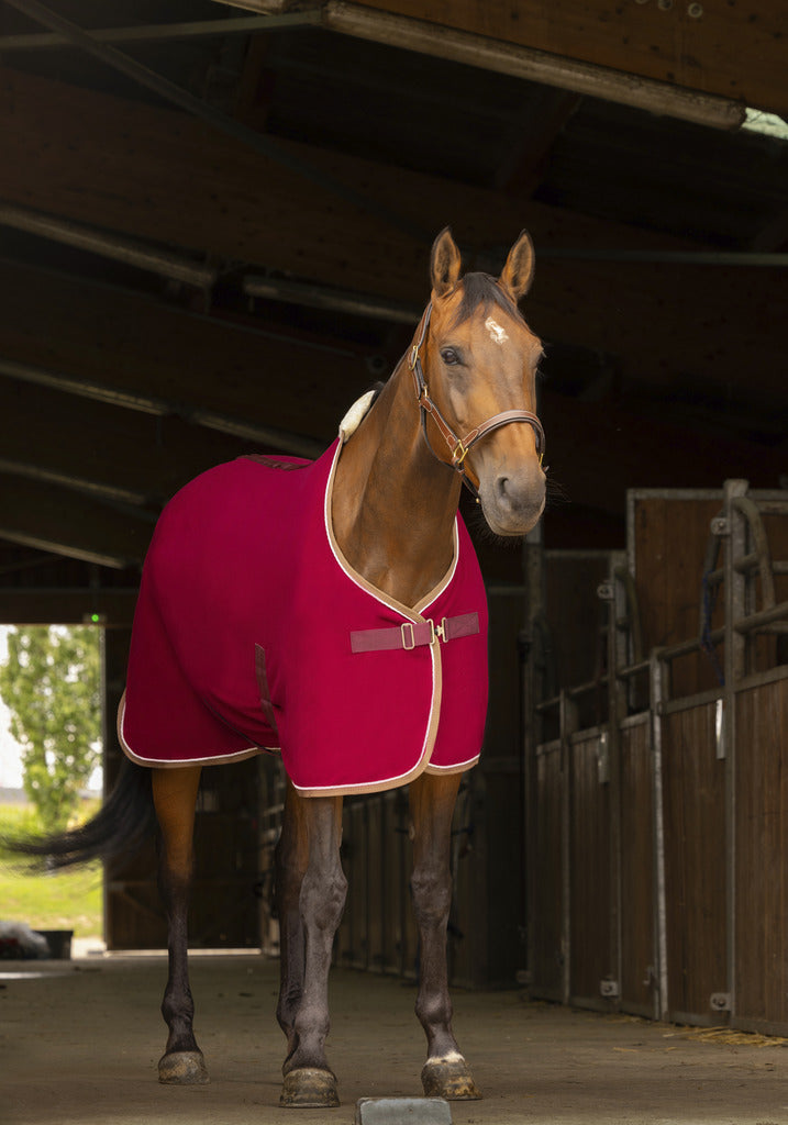 CHEMISE POLAIRE EQUITHÈME "POLYFUN"