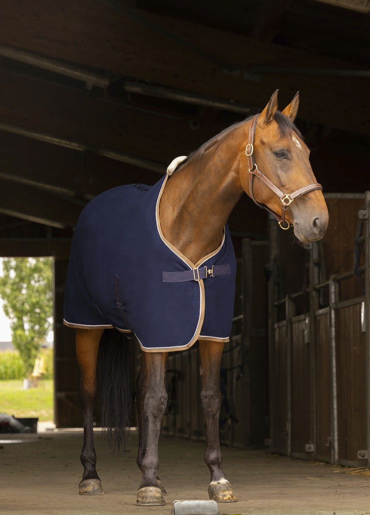 CHEMISE POLAIRE EQUITHÈME "POLYFUN"