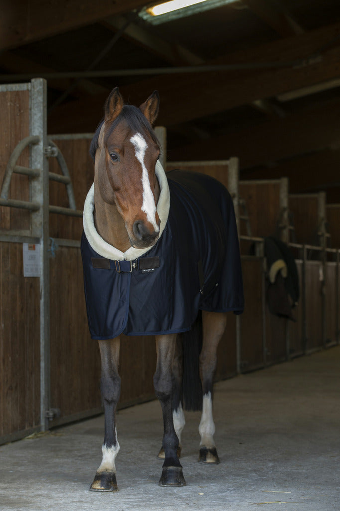 CHEMISE SÉCHANTE EQUITHÈME "TEDDY"