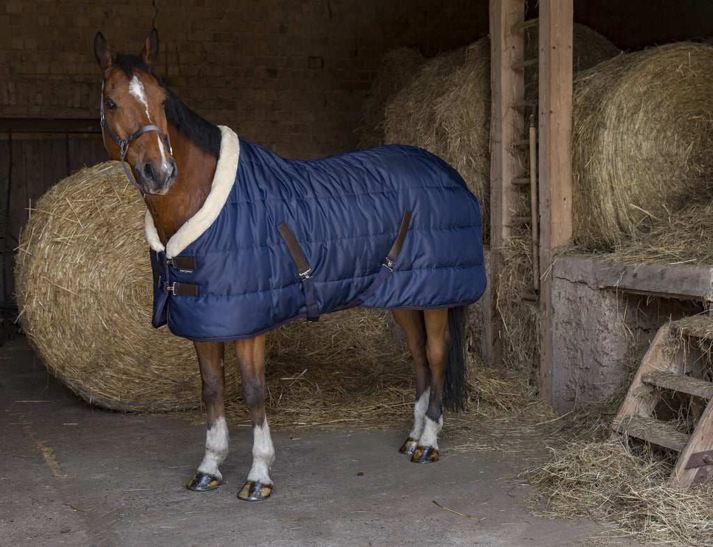 COUVERTURE D'ÉCURIE EQUITHÈME "TEDDY"