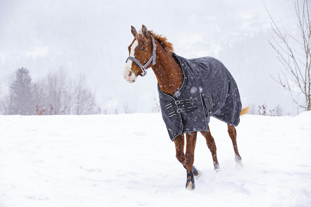 COUVERTURE RIDING WORLD "OXFORD" IMPERMÉABLE, DOUBLÉE POLAIRE