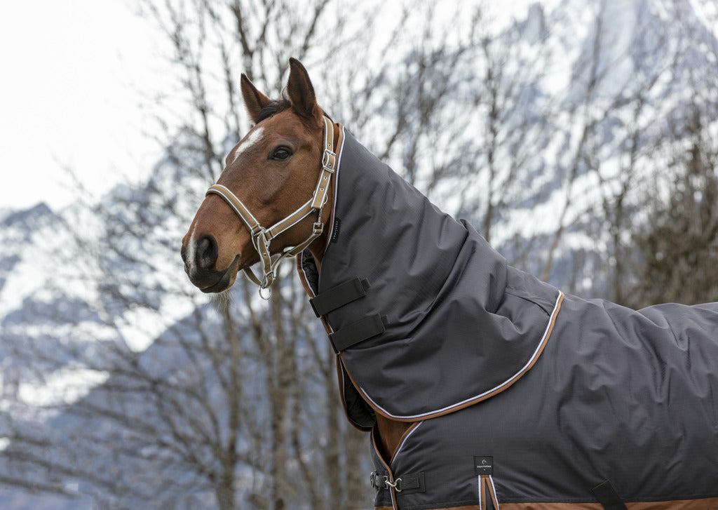 COUVRE-COU EQUITHÈME TYREX 600D "AISANCE"