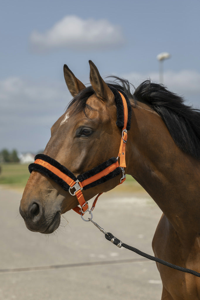 LICOL EQUITHÈME "NYLON MOUTON"