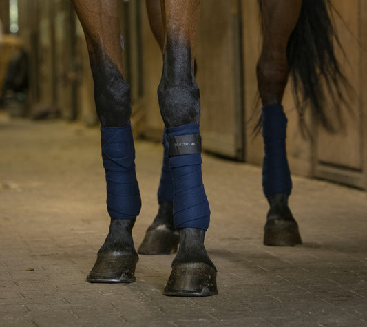 BANDES DE POLO EQUITHÈME