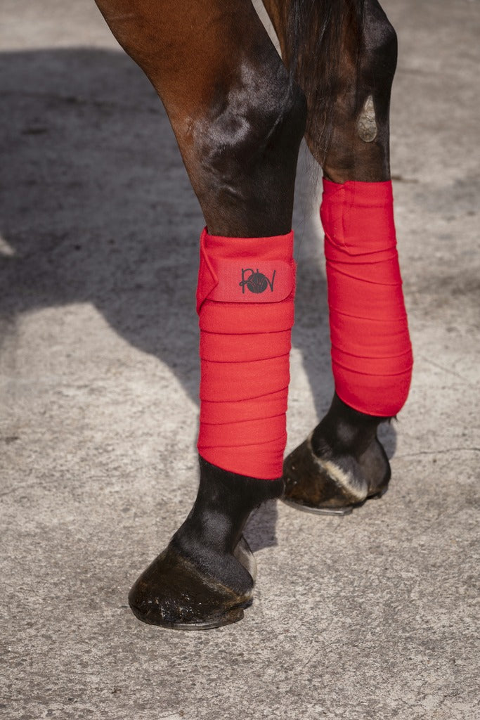 BANDES DE POLO DOUBLE FACE RIDING WORLD