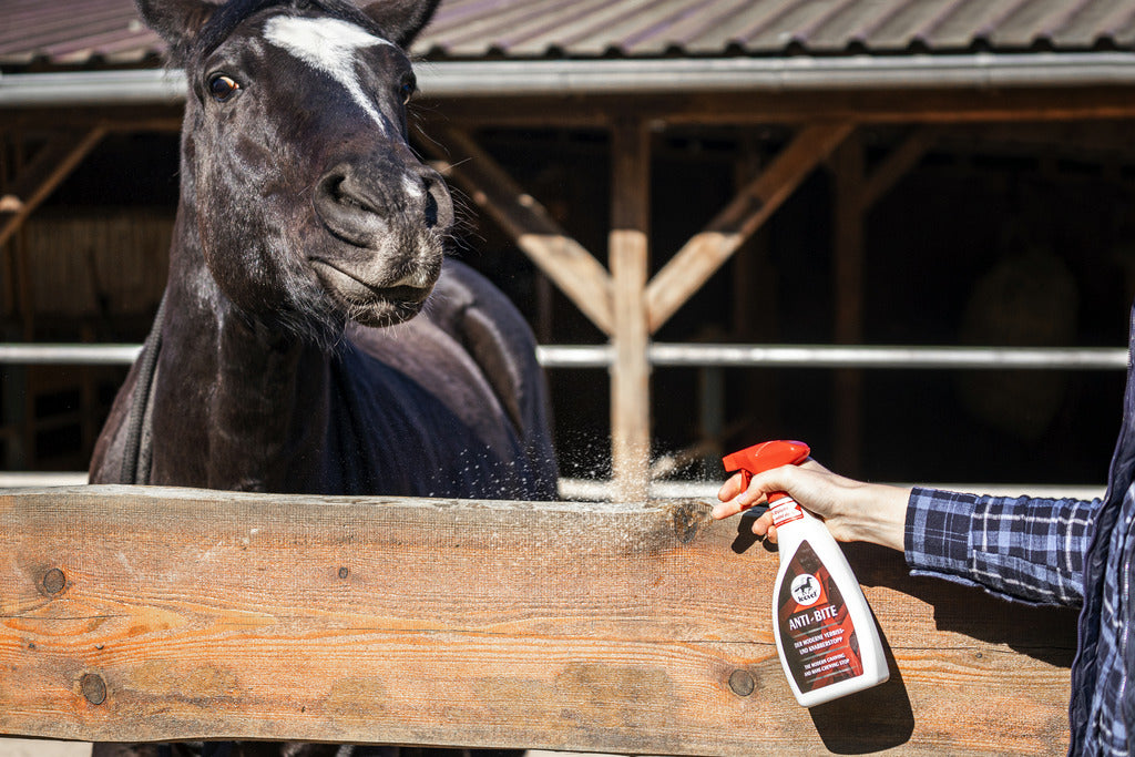 SPRAY ANTI-RONGEMENT LEOVET