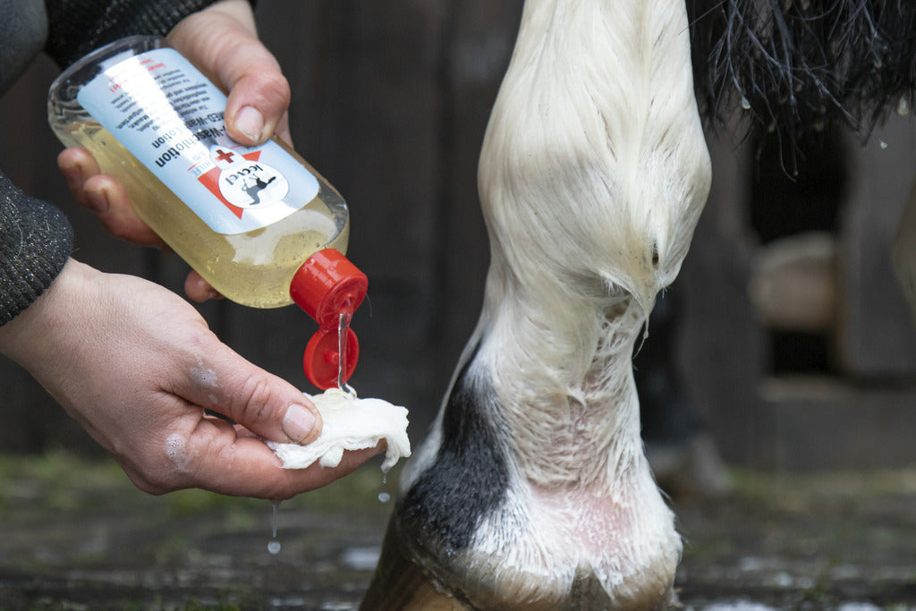 LOTION LAVANTE LEOVET "MED"