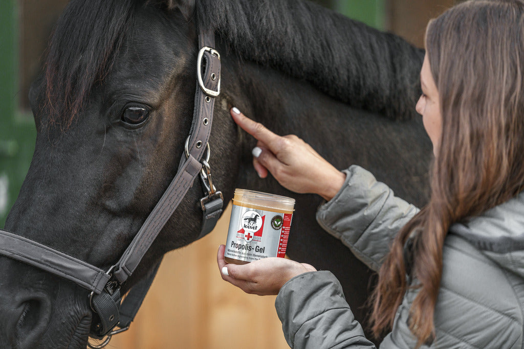 GEL LEOVET PROPOLIS "FIRST AID"