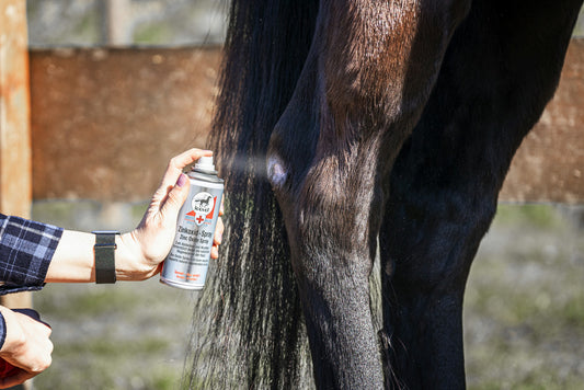 SOIN DES PLAIES LEOVET SPRAY AU ZINC