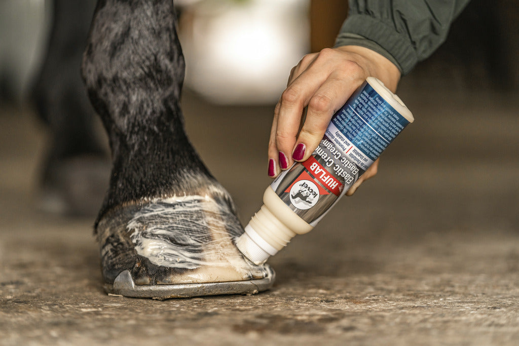 CRÈME POUR SABOTS LEOVET "ELASTIC" AVEC BROSSE