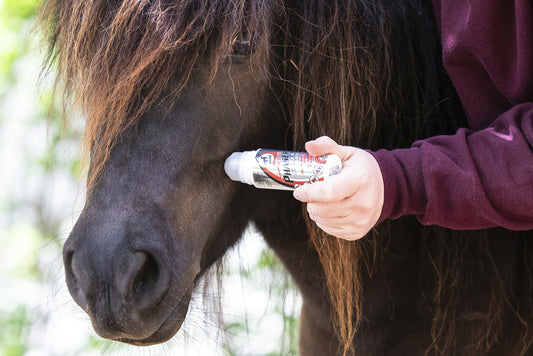 RÉPULSIF LEOVET "POWER PHASER" ROLL-ON