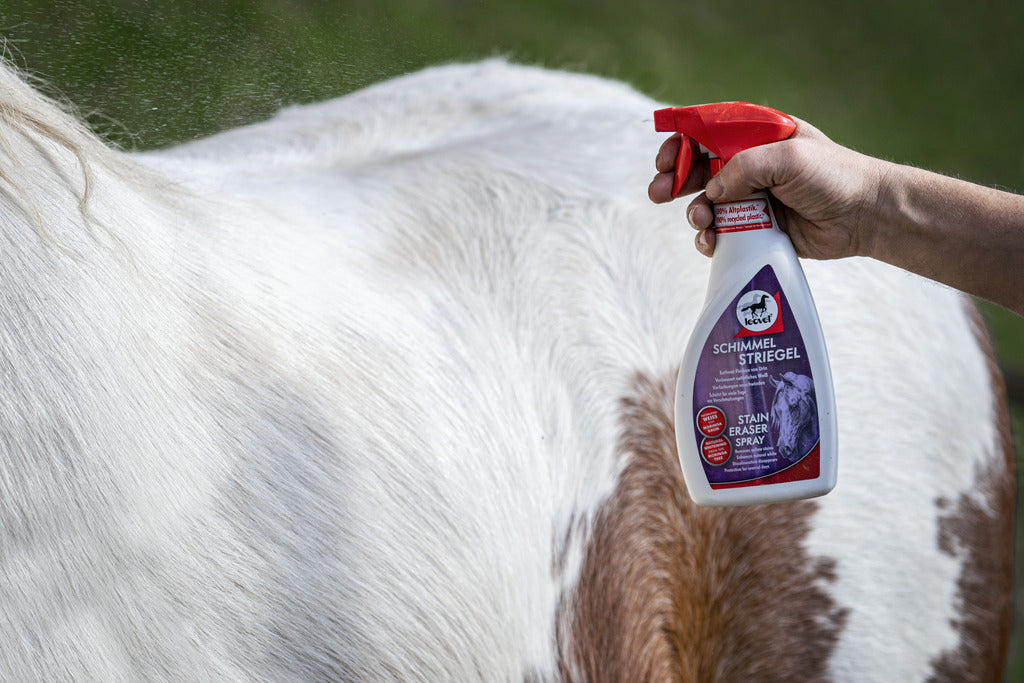 DÉMÊLANT LEOVET CHEVAUX GRIS, SPRAY