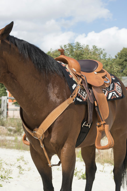 COLLIER DE CHASSE WESTRIDE BY FRANCK PERRET "BILLY"